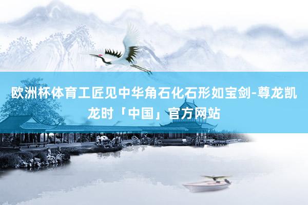 欧洲杯体育工匠见中华角石化石形如宝剑-尊龙凯龙时「中国」官方网站