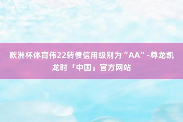 欧洲杯体育伟22转债信用级别为“AA”-尊龙凯龙时「中国」官方网站