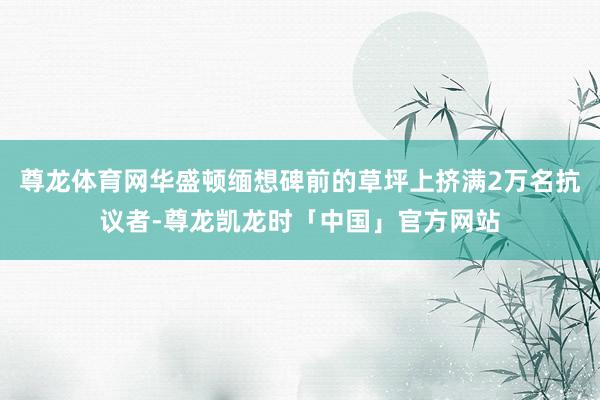 尊龙体育网华盛顿缅想碑前的草坪上挤满2万名抗议者-尊龙凯龙时「中国」官方网站