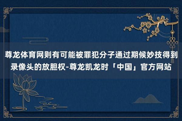 尊龙体育网则有可能被罪犯分子通过期候妙技得到录像头的放胆权-尊龙凯龙时「中国」官方网站
