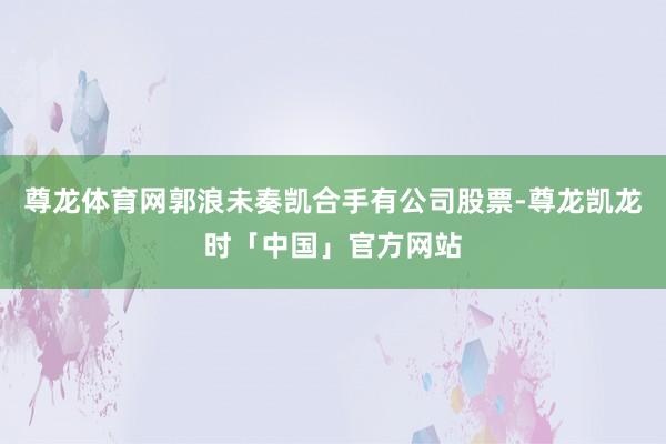 尊龙体育网郭浪未奏凯合手有公司股票-尊龙凯龙时「中国」官方网站