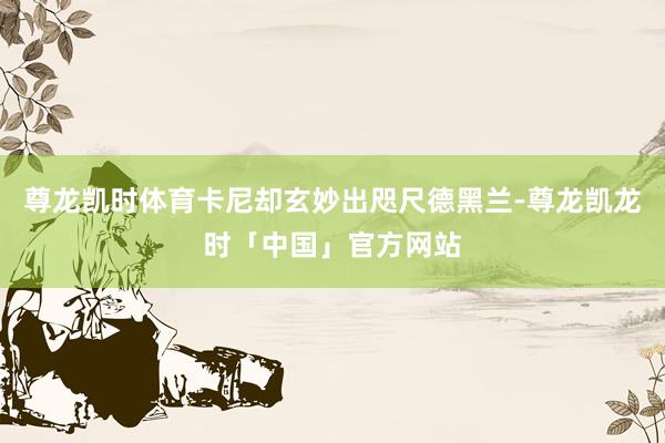 尊龙凯时体育卡尼却玄妙出咫尺德黑兰-尊龙凯龙时「中国」官方网站