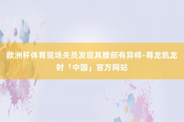 欧洲杯体育现场关员发现其腰部有异样-尊龙凯龙时「中国」官方网站