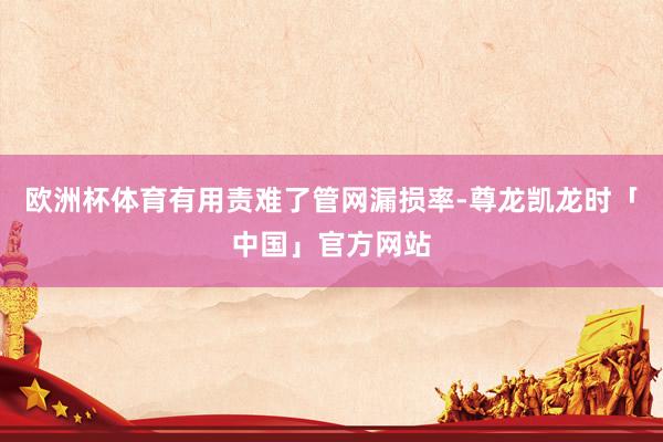 欧洲杯体育有用责难了管网漏损率-尊龙凯龙时「中国」官方网站