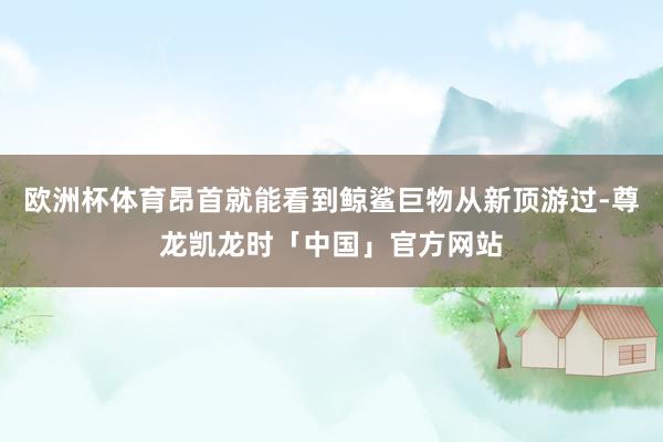 欧洲杯体育昂首就能看到鲸鲨巨物从新顶游过-尊龙凯龙时「中国」官方网站
