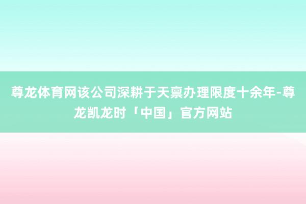 尊龙体育网该公司深耕于天禀办理限度十余年-尊龙凯龙时「中国」官方网站