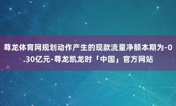 尊龙体育网规划动作产生的现款流量净额本期为-0.30亿元-尊龙凯龙时「中国」官方网站