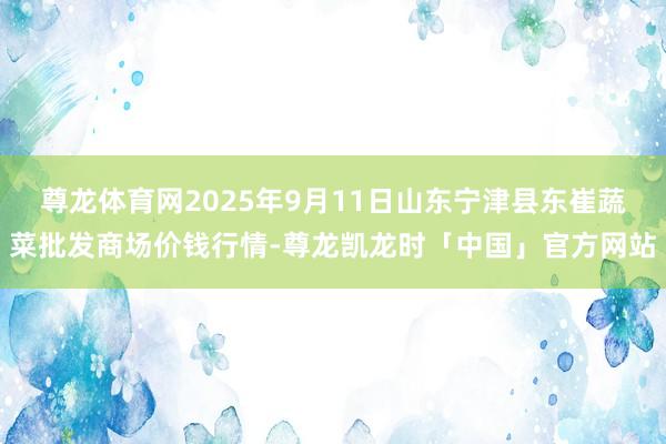 尊龙体育网2025年9月11日山东宁津县东崔蔬菜批发商场价钱行情-尊龙凯龙时「中国」官方网站