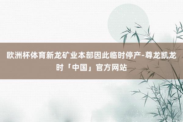 欧洲杯体育新龙矿业本部因此临时停产-尊龙凯龙时「中国」官方网站