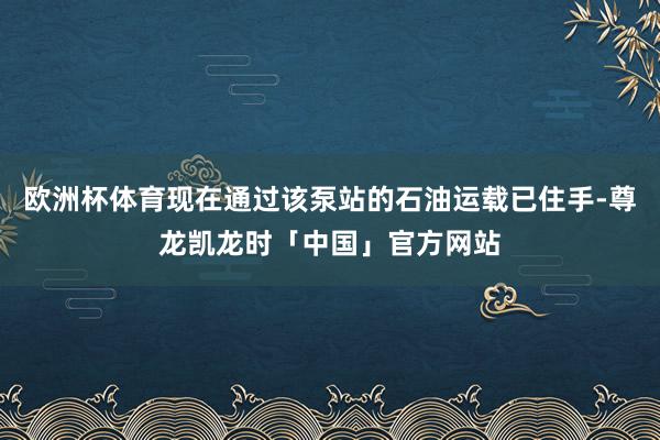 欧洲杯体育现在通过该泵站的石油运载已住手-尊龙凯龙时「中国」官方网站